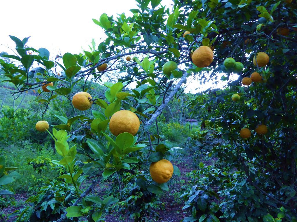 Finca El Cielo San Agustín Zewnętrze zdjęcie