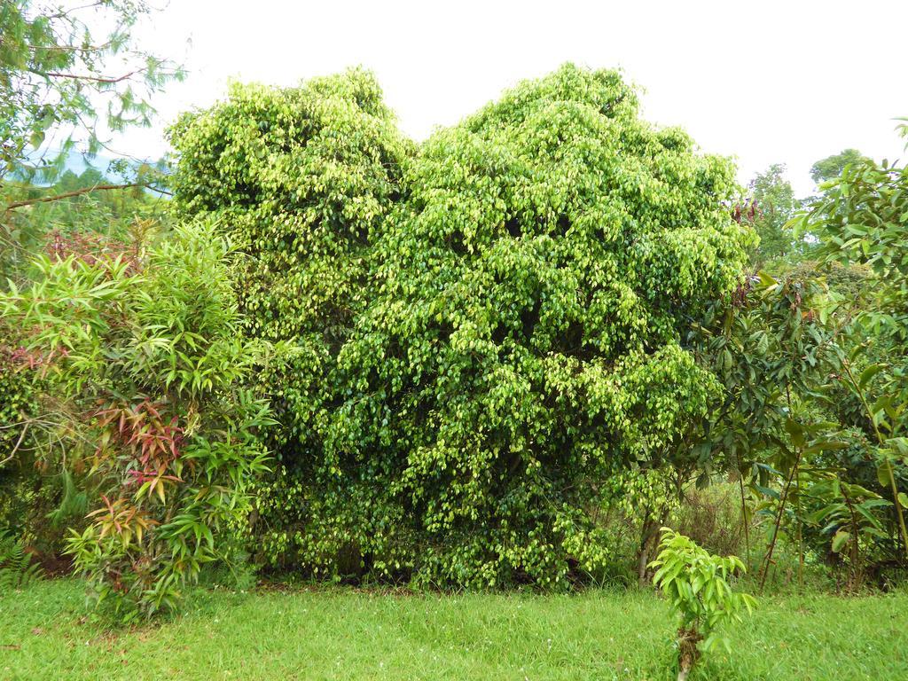 Finca El Cielo San Agustín Zewnętrze zdjęcie