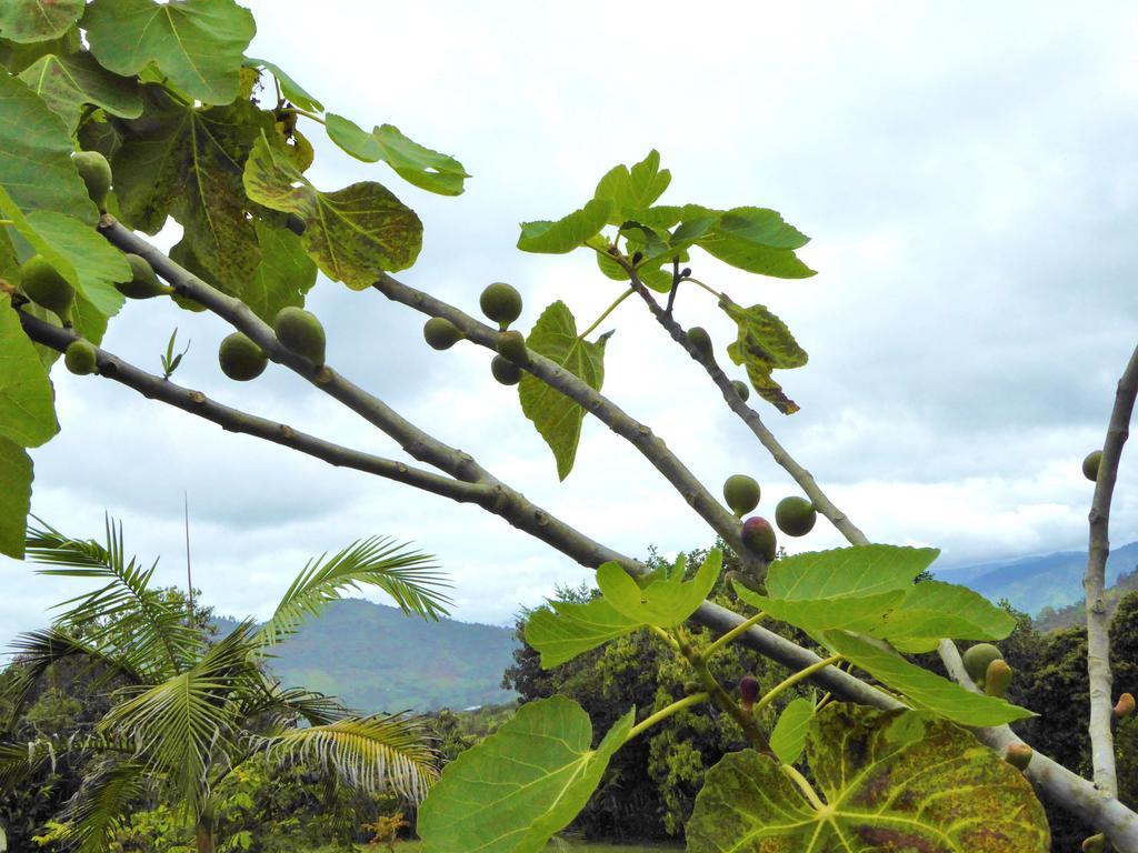 Finca El Cielo San Agustín Zewnętrze zdjęcie