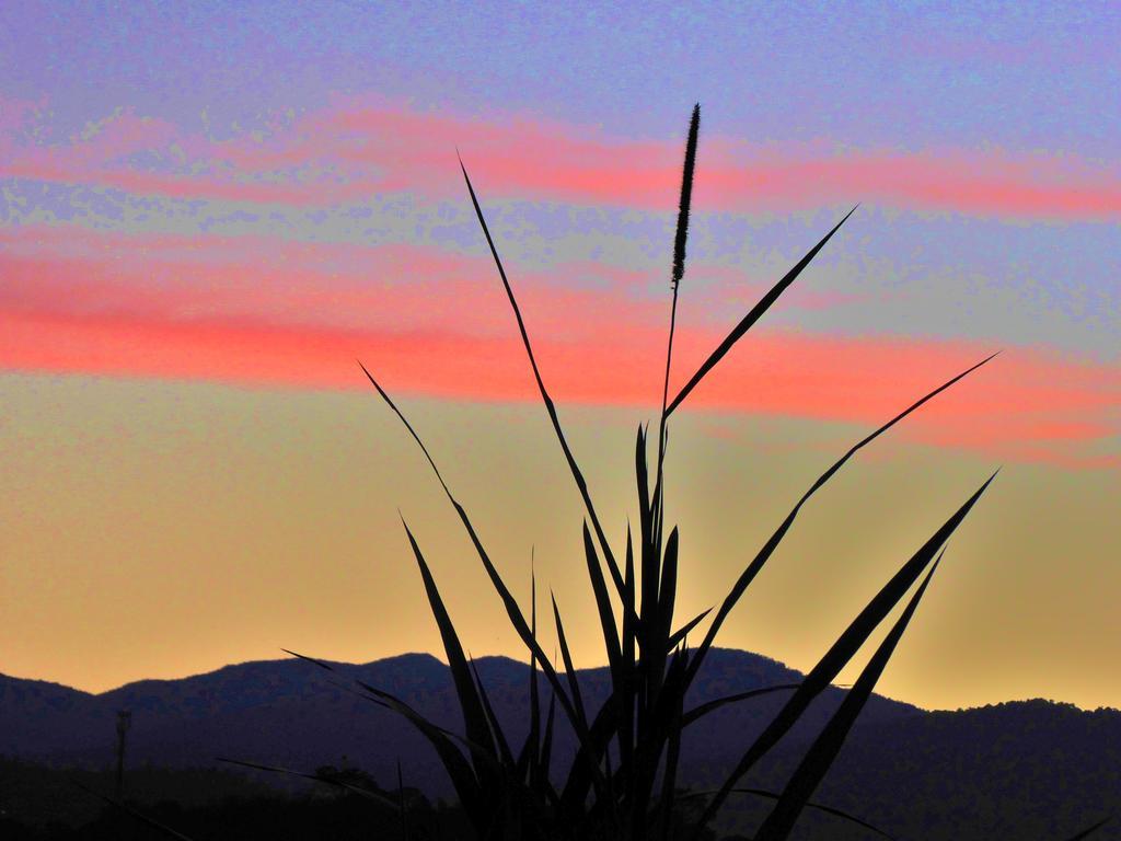 Finca El Cielo San Agustín Zewnętrze zdjęcie